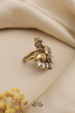 Alternative view of Ring Tejasvi